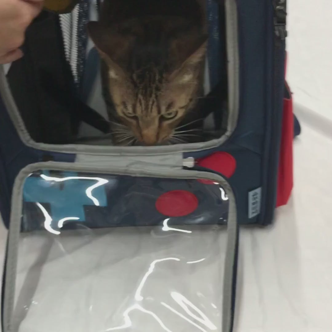 Cat comfortably resting inside the expanded carrier -ktkitty