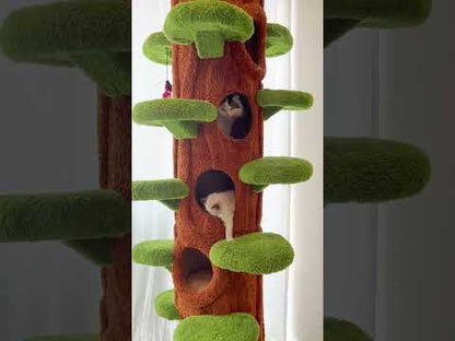 Luxury Cat Tree Looks Like Tree Tall Climbing Frame
