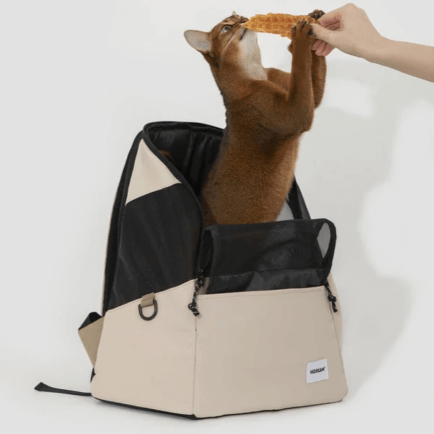 Reinforced safety locking system ensures secure travel-KtKitty