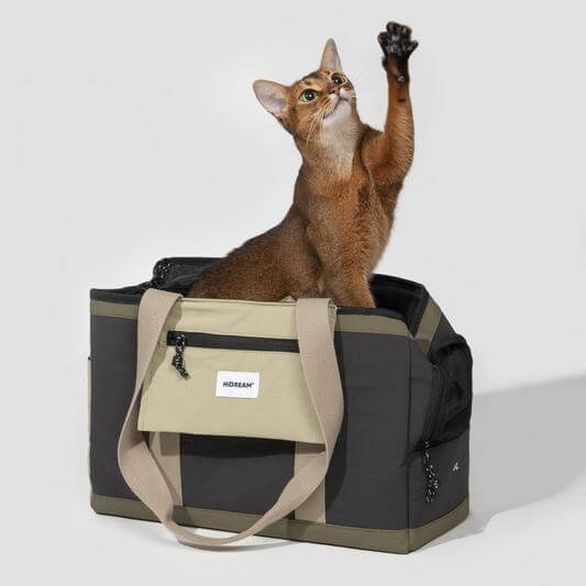 Durable zippers and secure closures ensure pets remain safe inside the carrier-KtKitty