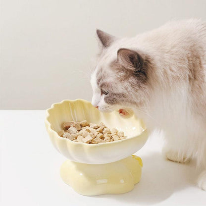 Shell Cat Food Water Bowl ¨C Marine-inspired ceramic elevated cat bowl for better posture and comfort ¨C KtKitty