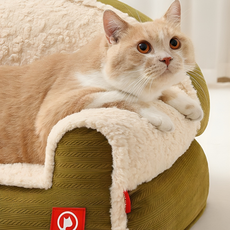 Two cats resting on plush washable cat couch - KtKitty