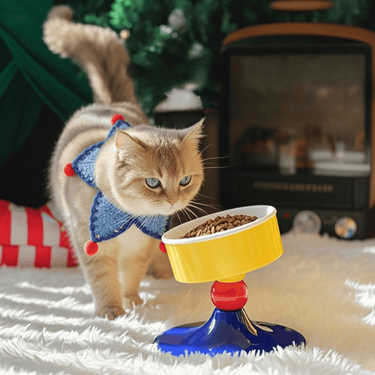 KtKitty Tilted Ceramic Cat Bowl with a cute cat character wearing a blue scarf. The ergonomic 15-degree slanted design helps protect the pet's cervical spine. A colorful set of stable ceramic bowls in a clean, stylish indoor setting for modern cat feeding.
