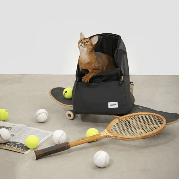 Perfect for travel, hiking, cycling, and daily walks with your pet-KtKitty